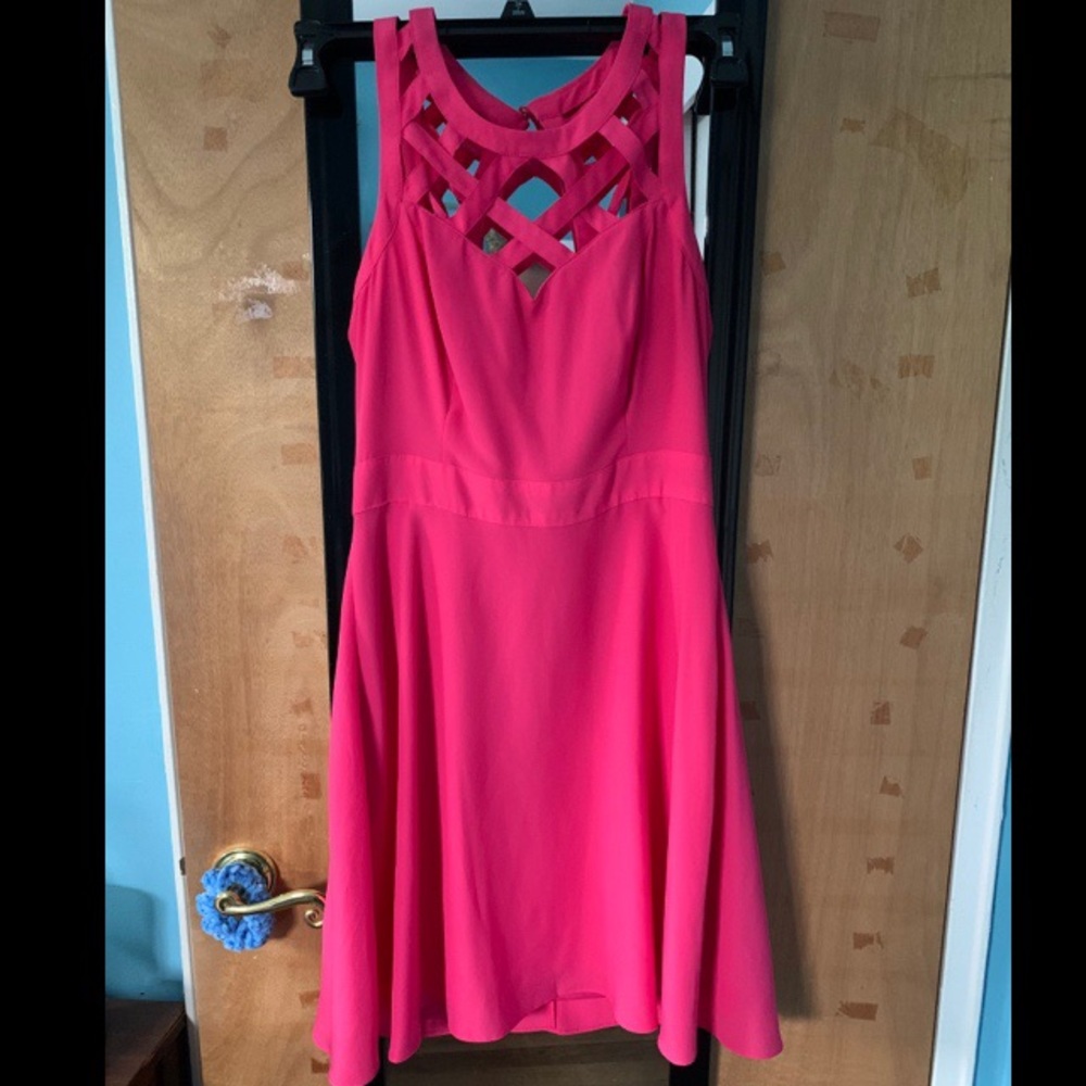 Hot Pink Skater Dress